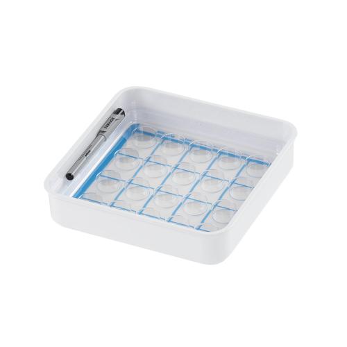 Medikamenten-Tabletts 