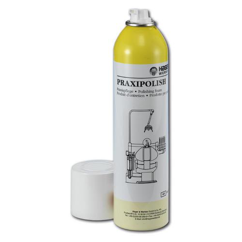 Praxipolish Plus, 400 ml Spraydose, 1 Stück