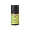 Ätherisches Öl Pfefferminze* bio, 5 ml