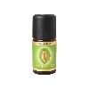 Ätherisches Öl Salbei* bio, 5 ml