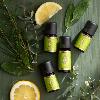 Ätherisches Öl Zitrone* bio, 5 ml