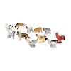 Miratoi® Nr. 3 - Farm Set, Packung 100 Stück