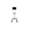 InnoSight 1.1, diagnostisches Ultraschallsystem, Firma Philips