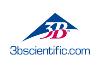 3B Scientific