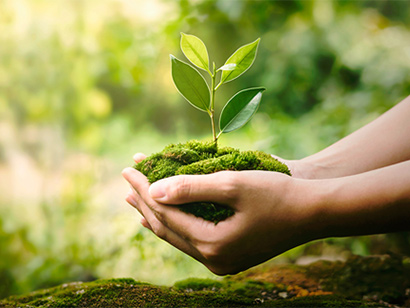 Henry Schein | Hartmann Einwegistrumente